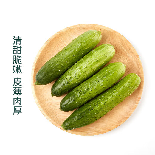 Fruit vegetables Northeast dry cucumber about 550g