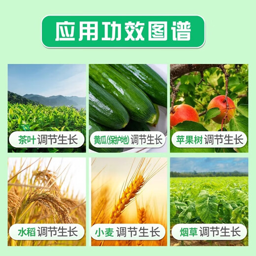 Bihu German Gibberellic Acid Indoethyl Brassinonin Preserves Flowers and Fruits and Antidotes Drug-Injured Plant Growth Regulator 1g