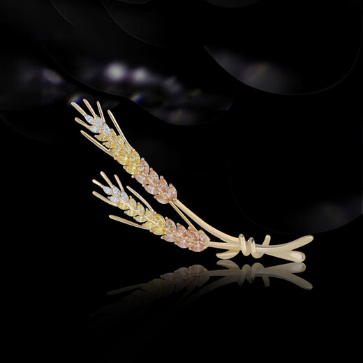 Farcoko brooch, high-end female luxury brand jewelry, corsage, wheat ear accessories, 520 gift for girlfriend and wife, dazzling color