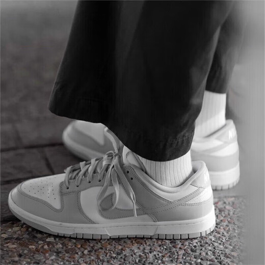 耐克（NIKE）官网官方鞋子男鞋dunk灰白潮流低帮防滑板鞋复古运动休闲鞋板鞋男 DD1391-103 40.5
