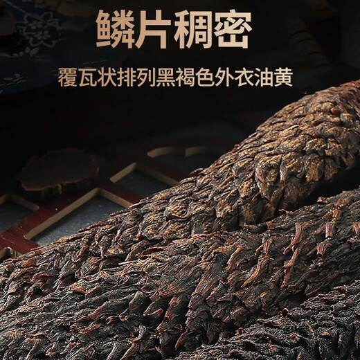 Tuoxiang zhenbao alaxan entier cistanche désert huile extra mous cistanche désert huile épaisse viande de cistanche trempée avec du vin chinois médicinal