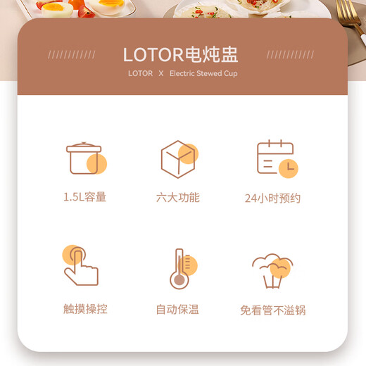 LOTOR multi-function electric stew pot, household water-proof stew pot, small capacity soup pot, bird's nest stew pot, stew pot, baby porridge artifact D1 steamer