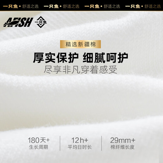 One fish socks for men 10A grade antibacterial and anti-odor spring and summer sports socks medium-tube stockings casual cotton socks school season