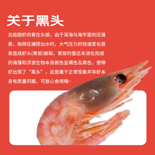 Ximei Seafood Arctic sweet shrimp with first seeds net weight 3Jin Jin is equal to 0.5 kg 90/120Specifications 95% first seeds MSC certification seafood aquatic products