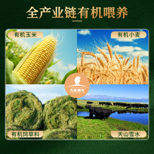 天莱香牛新疆有机牛腱子肉1斤谷饲国产牛肉生鲜酱卤牛肉清真【真原切】