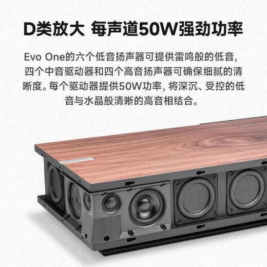 Cambridgeaudio Cambridge Evo One Streaming-Verstärker Audio All-in-One HiFi Audio Home Hifi Bluetooth WiFi Lustless Audio Decoder All-in-One Evo One (JD Logistics Direct)