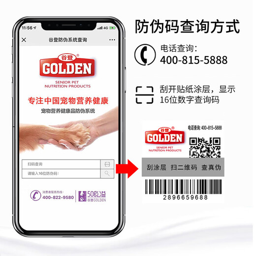 Goodeng Gastrointestinal Treasure, probiotic enzyme bacteria for pet cats and dogs, probiotics for dogs, cats and puppies, Goodeng Gastrointestinal Treasure 1 box (5g*10 packs)