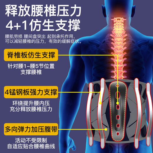 PROPARD medical support belt, lumbar disc strain, lumbar disc herniation, psoas muscle pain, men and women, waist circumference, waist support, waist corset LY93 to relieve pain | steel plate support, L size 2 feet ~ 2 feet 5, suitable for 100 ~ 140 Jin Jin equals 0.5 kg