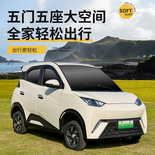 Xingpeng electric four-wheel vehicle for home transportation, rural leisure, closed electric new energy vehicle, women's small lithium battery vehicle, one-year warranty