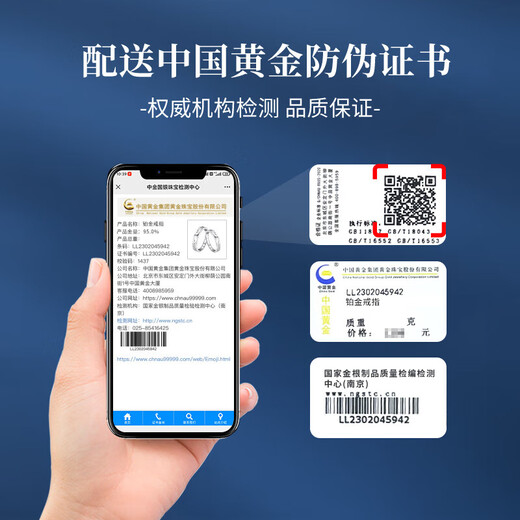 China Gold Crushed Ice Platinum Ring for Women Wedding Couple Ring Jewelry Birthday Gift for Girlfriend and Wife Birthday Platinum Glacier Couple Ring-Female