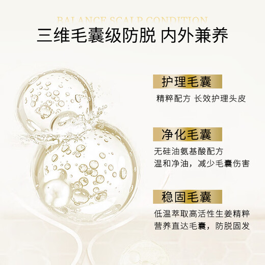 Ziyuan Anti-detachment Strong and Tough Oil Control Shampoo 1055ml Ginger Hair Solid Set Orchidaceae Shampoo Silicone Oil-free Shampoo