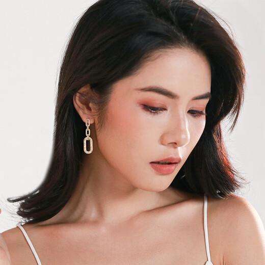 Qlady temperament geometric silver earrings women's fashion long 925 silver needle earrings niche design light luxury high-end autumn and winter earrings birthday gifts for girlfriends and wives