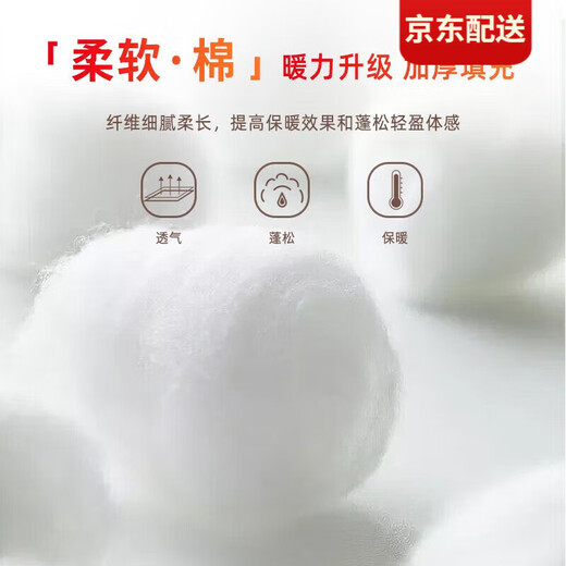 季骆森保暖上衣智能温控电热马甲女防寒充电加热背心女坎肩发热马甲外穿 白色 M【建议80-100斤】