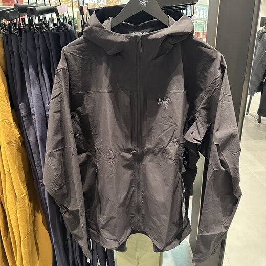始祖鸟（ARC'TERYX） 男款 GAMMA LIGHTWEIGHT 轻薄 软壳夹克 连帽/尾草绿/chloris/X9196 L (国现沈阳速发)