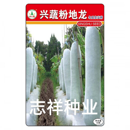 Xingshu Fen Dilong White-skinned Winter Melon Seeds Pink-skinned Winter Melon Extra Large Winter Melon Weight 50 Jin Jin is equal to 0.5 kg 1 meter long Base Xingshu Fen Dilong Winter Melon 10g One pack