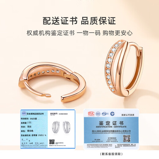 Vana Earrings Women's Silver Earrings Earrings Earrings Temperament High-end Birthday Gifts for Girlfriends and Wife Mobius Earrings丨White Gold