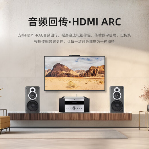 天逸（Winner）AD-99D多功能超甲类HIFI功放发烧级功放机大功率家用高保真合并式功放音响套装 AD-99D（JD物流直达）