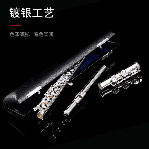 Acacia Bird Flute 16-hole closed-hole dual-purpose adult children beginners playing silver-plated flute instruments for professional performance