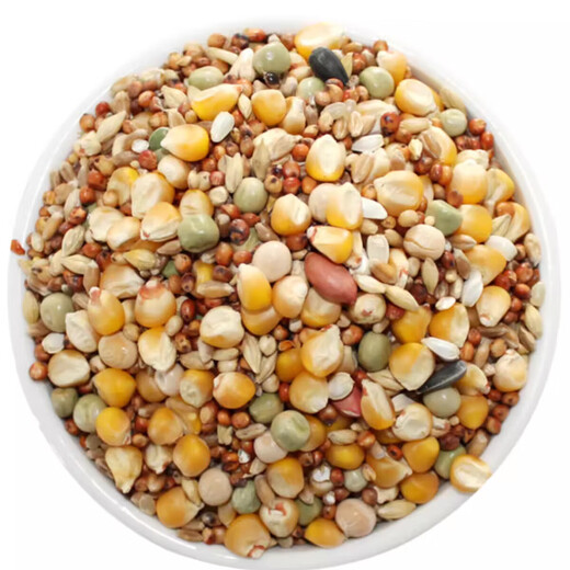 Other horticultural high-quality nutritious pigeon food, meat pigeons, ornamental pigeons, homing pigeons, racing pigeons, Yuanbao pigeons, young pigeon feed, breeding pigeons, pigeon food without corn, 10 Jin Jin is equal to 0.5 kg