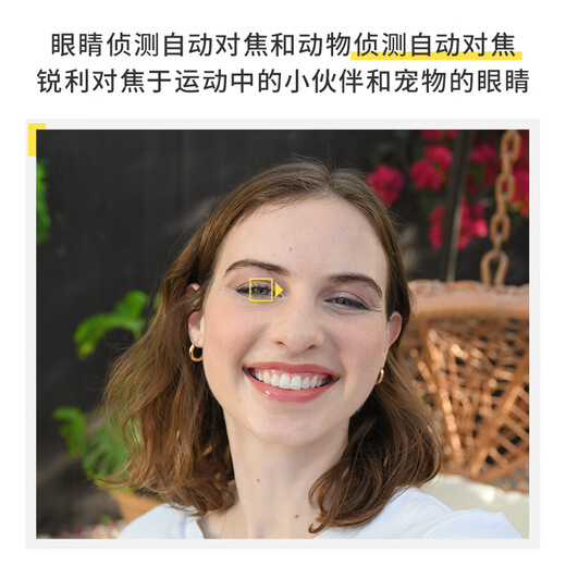 Nikon Z30 half-frame mirrorless camera, entry-level for beginners, foldable screen selfie, 4k high-definition photography, video live broadcast, portable vlog mirrorless camera Z30 + 16-50 + 50-250 dual set