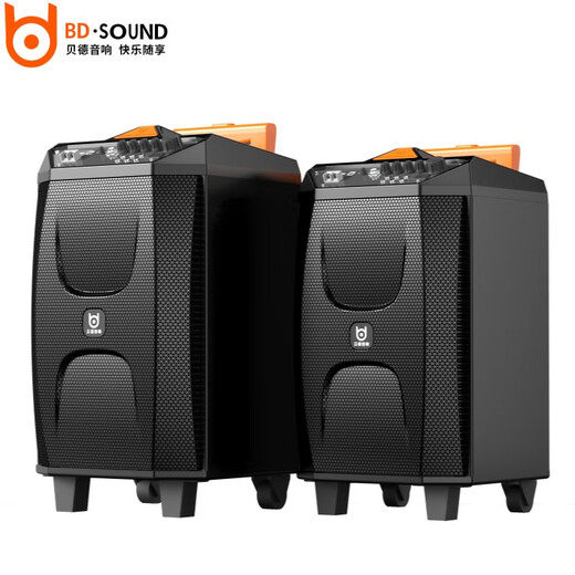 Beidefengfa home KTV audio set with display screen outdoor square dance lever audio karaoke video karaoke machine speaker portable portable Bluetooth home player BD-H1279 12-inch + dual microphone + karaoke machine