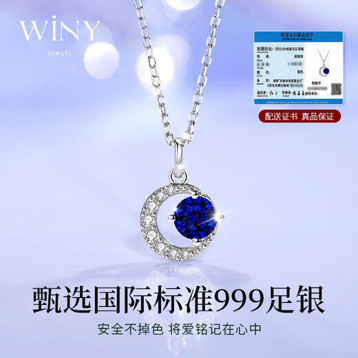 The only (Winy) sterling silver necklace, women's pendant, birthday and Valentine's Day gift for girlfriend and wife, silver jewelry, light luxury niche