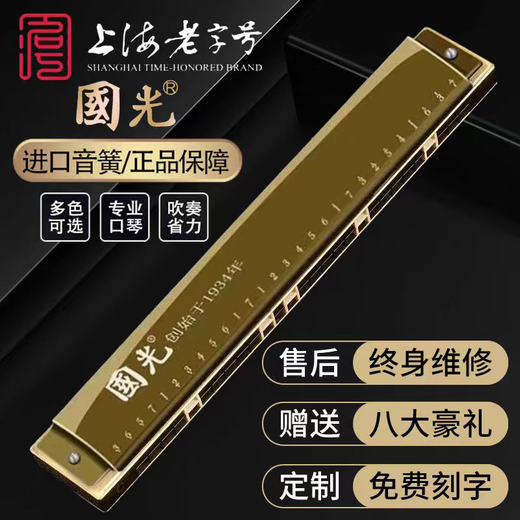Guoguang Shanghai Guoguang harmonica Chord de gamme adulte adulte 28 trous accent débutant avancé de performance professionnelle haut de gamme avancée niveau de performance 28 trous c-silver C [donner un ensemble complet de cadeaux]