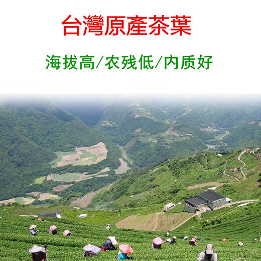 苔圣园 台湾高山茶叶新茶原装冻顶乌龙茶阿里山金萱茶梨山大禹岭可冷泡 四/300克清香台湾梨山乌龙茶 150g*2包