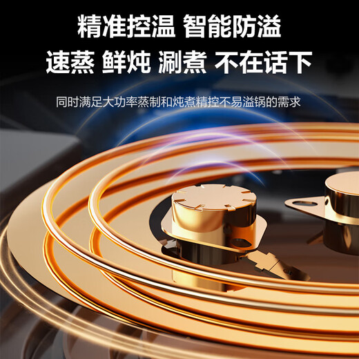 SUPOR Cuiseur vapeur électrique, marmite électrique, ragoût et vapeur tout-en-un marmite électrique multifonctionnelle domestique pour cuire à la vapeur du poisson, des petits pains cuits à la vapeur et des petits pains Cuiseur vapeur antibactérien antiadhésif 18 L ZN30FC869