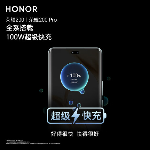 荣耀200 旗舰级青海湖电池 绿洲护眼屏 雅顾光影主摄16+256 绒黑色 拍照5G AI 新款智能手机 国家补贴