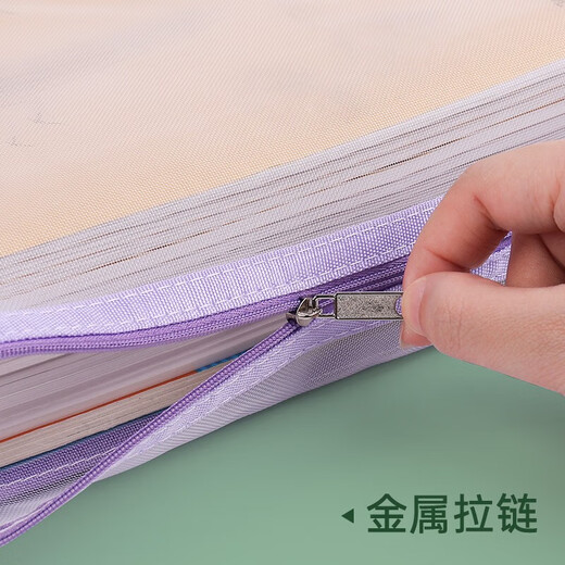 递乐A4文件袋大容量拉链袋学生网纱试卷学科目分类袋收纳作业资料补习袋 三层1484 作业款 双层网纱补习袋 综合款
