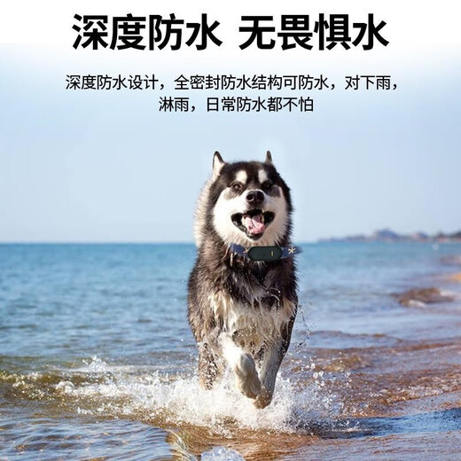 Newman pet locator, dog and cat GPS collar, anti-lost device, anti-lost tracking artifact, tracking and booking device, battery life calling version (lock anti-disassembly + super long battery life)