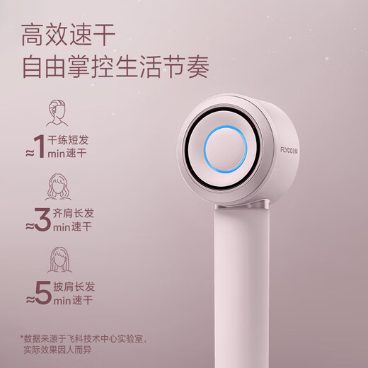 FLYCO high-speed hair dryer birthday gift household portable travel essential quick-drying negative ion high wind hair care hair dryer FH6371 diamond powder national subsidy
