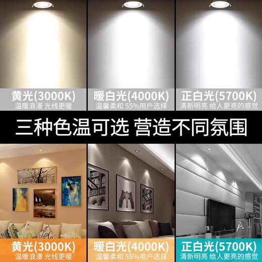 Les Lighting Les LED spotlight COB recessed ceiling lamp high power 1502 1503 1504 1506 1507 spotlight Les 1504-12W opening 9.5cm white light 5700K
