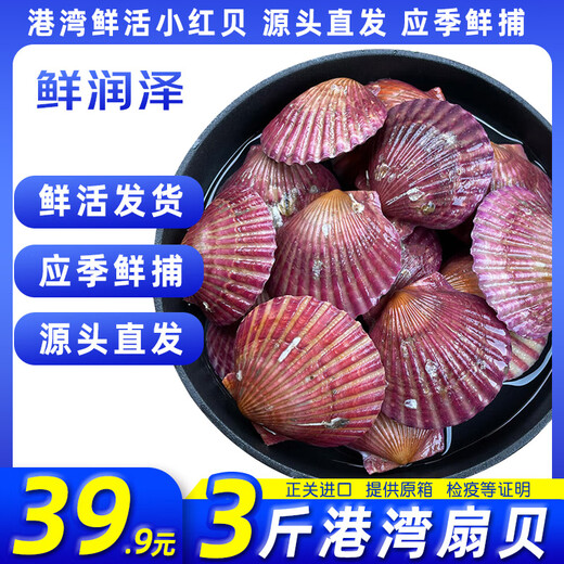 Fresh and moist fresh small red clams, net weight 3 Jin Jin equals 0.5 kg, 7-9 pieces/Jin Jin equals 0.5 kg, fresh, direct from Weihai source, New Year's gift giving