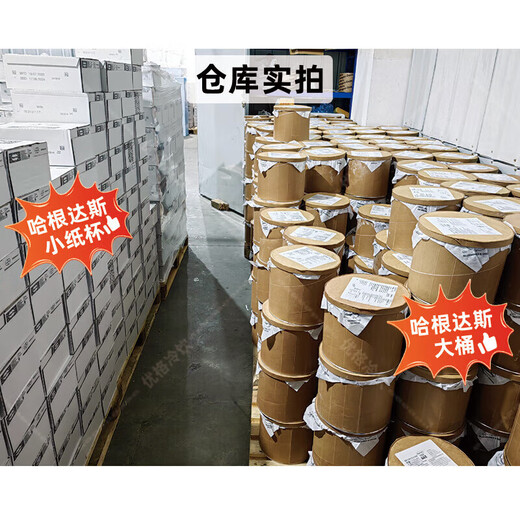 Haagen-Dazs Ice Cream Vat Commercial Ice Cream Buffet Matcha Ice Cream Vanilla Flavor Cold Drink Household 7.4kg Blueberry