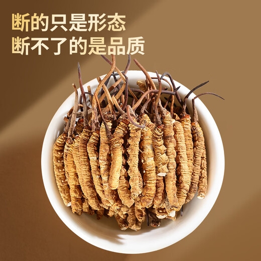 Tongrentang Brand Cordyceps sinensis 100g Broken Grass Cordyceps Gift Box Nutritional High-end Gift Box for Elderly Parents and Elders Beijing Tongrentang