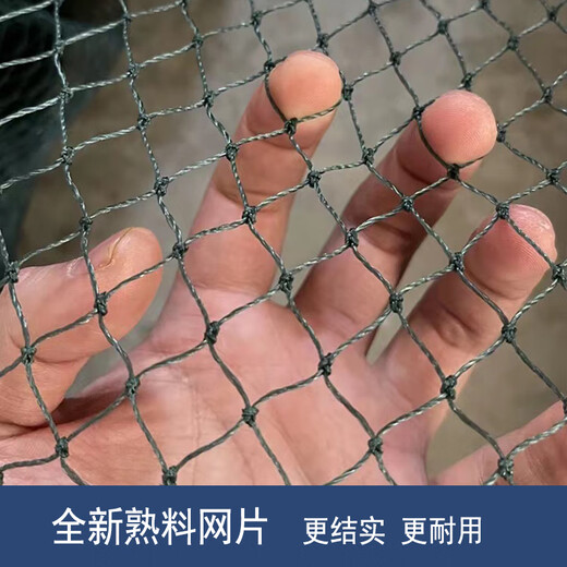 Fish grid 1-finger 2-finger 3-finger 4-finger fishing net fishing net fish pond pulling net scraping fish net trawling net clear pond partition net 2-finger mesh 12 strands 4 meters high 50 meters long unfolded height is 3 meters
