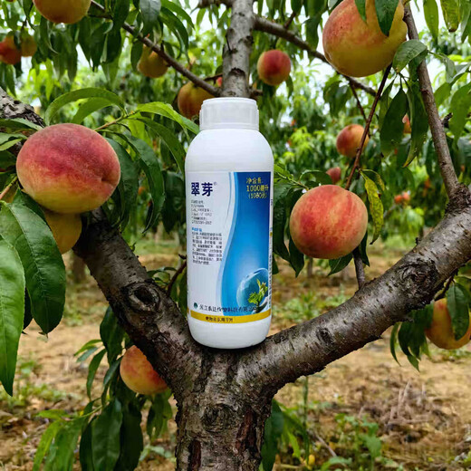 Taihui Li Cui Ya 50% Monocyanamide Ammonia Grape Peach Kiwi Fruit Tree Accelerating Bud Sleeping Agent Monocyanogen Ammonium Growth Regulator 250ml*8 bottles Production date September 25 Shelf life 2 years