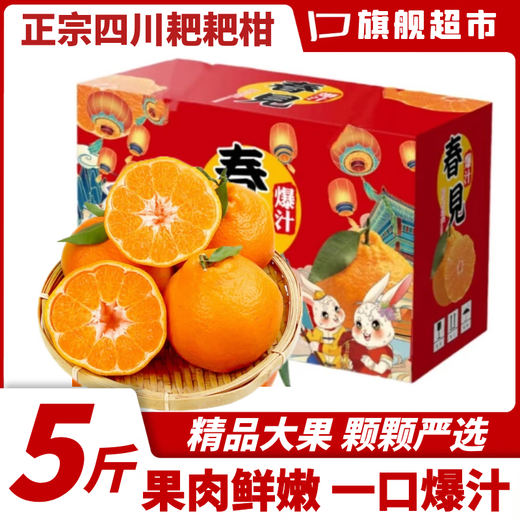 Sanmeng Fruits et légumes Sichuan Chunjian Mandarine Orange fraîche Orange Laid Mandarine Fruit de saison pour les femmes enceintes 5Jin Jin est égal à 0,5 kg. Emballé pour le partage en famille. Délicieux pendant une semaine. Net 4,5Jin Jin est égal à 0,5kg. Fruits de qualité. Jus riche. Fruit unique 70-80 mm.