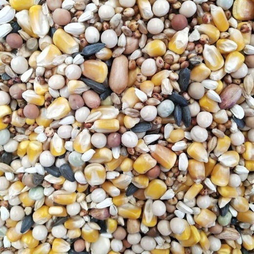New pigeon food nutrition contains corn 10kg bird food homing pigeon white adult young pigeon ornamental pigeon corn-free pigeon food 5Jin Jin is equal to 0.5 kg
