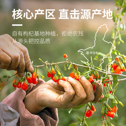 早康枸杞无熏无硫正品宁夏枸杞子正棕特级红枸杞子500g（250g*2袋）