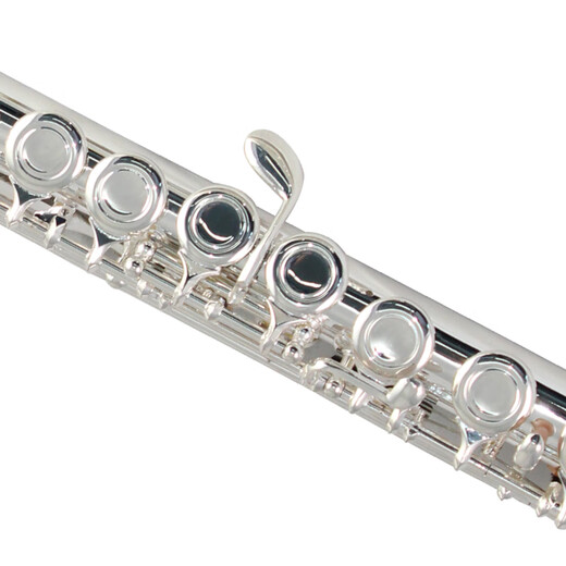 Sternseeflöte, anfänger silberverlagte C-Tuning-Flöte 16-Loch-Windinstrument Flöte E-121
