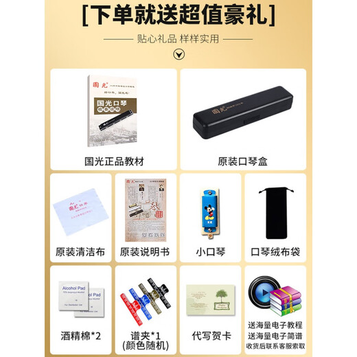 国光口琴24/28孔复音重音c调宽音域口风琴初学者入门学生演奏 28孔 演奏级/国之梦复音宽音域流