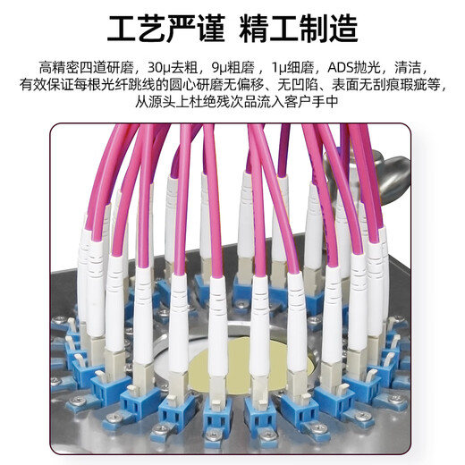 优普连 OM4万兆多模光纤跳线LC-LC 工程电信级双芯lc尾纤 25G交换机光纤模块连接线光钎线 OM4多模双芯LC-SC 1米