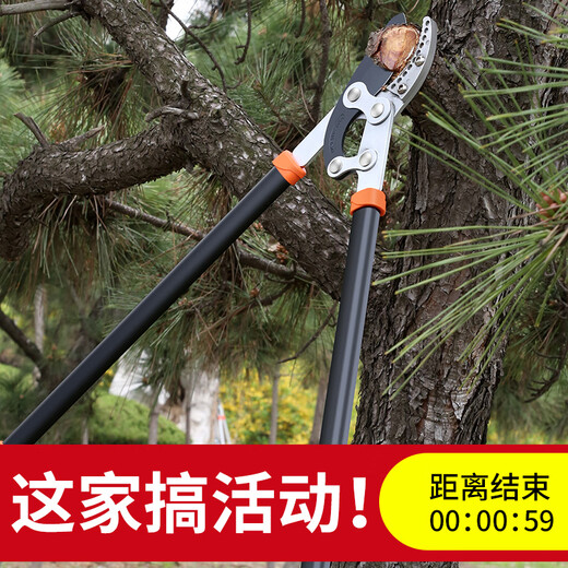 Zhengqi thick fruit tree pruning scissors, vigorous greening pruning pruning branches, garden special powerful scissors for flowering and tree branches, labor-saving, extra-long model comes with spare blade + folding saw