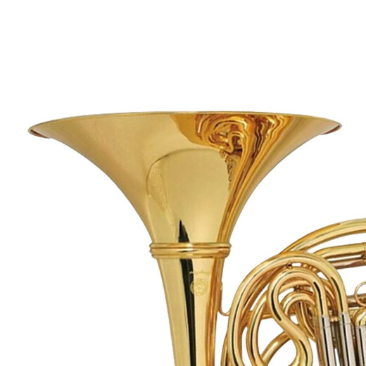 Horne Xinghai Horn B-flat Horn réglable Horne Double Row Horn XFH-300 amovible
