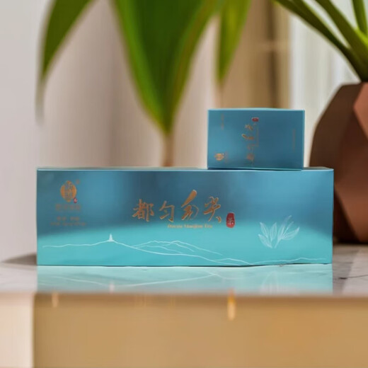 Tea Sanye 2024 Guizhou Tea New Tea Duyun Maojian Leaf Strong Fragrance Type Cloud Mist Spring Tea Loose Box 60g*2