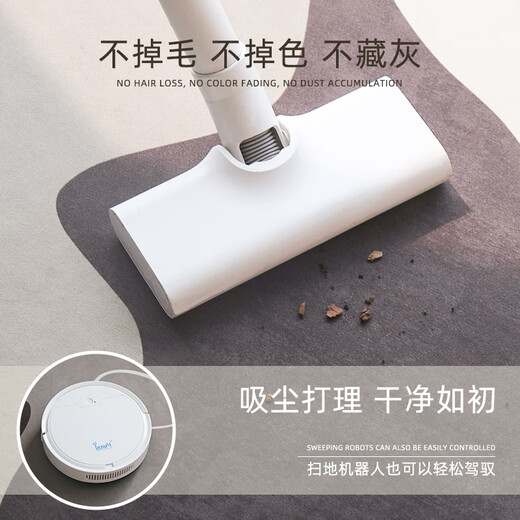 圆形地毯卧室轻奢客厅免洗可擦沙发毯电脑椅书房隔音毯 晚秋枫-14105-圆 200cm*200cm(圆形)