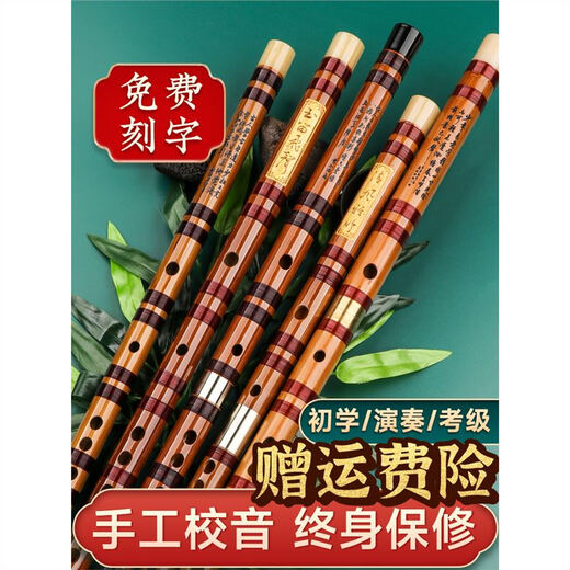 PTNOKA竹笛初学笛子者横笛乐器长笛儿童专业成人演奏小学生入门专用 G调【双管】少儿推荐